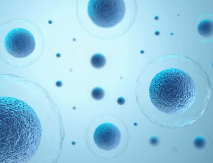 Komórki macierzyste pochodzą z tkanki tłuszczowej